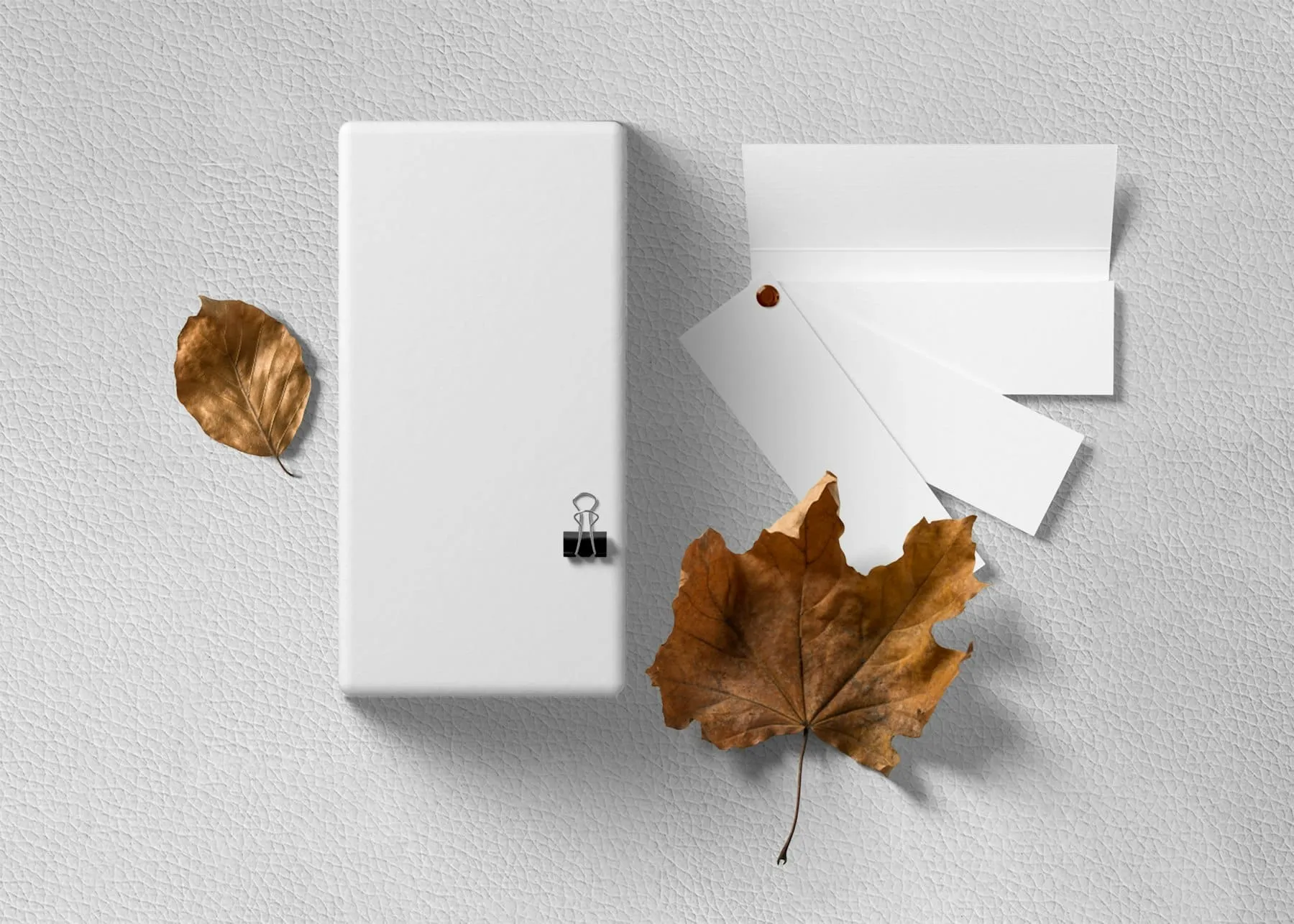 A blank stationery set with a notebook, cards and autumn leaves