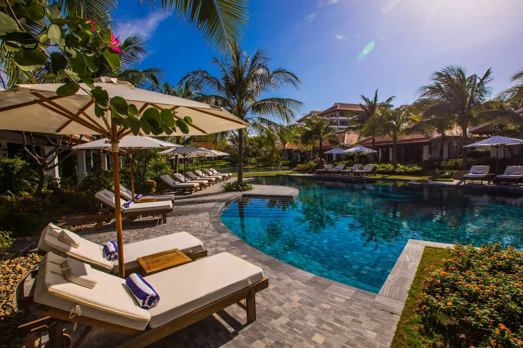 Hồ bơi resort với ghế tắm nắng và hàng dừa cao dưới bầu trời xanh