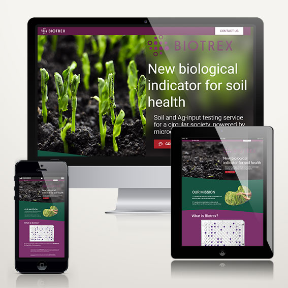 UI UX design Website